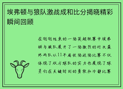 埃弗顿与狼队激战成和比分揭晓精彩瞬间回顾